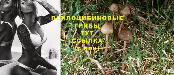 PSILOCYBIN Белоозёрский