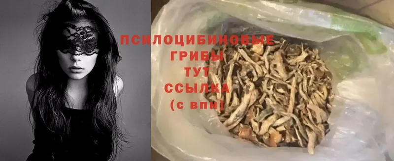 Галлюциногенные грибы Cubensis  хочу наркоту  Ивантеевка 